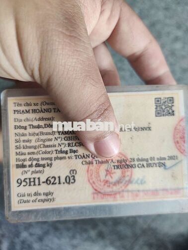 XE NVX 2019 , ÍT DI CHUYỂN CẦN BÁN