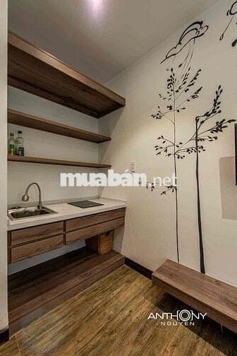 Giá đàn ưu đãi cho anh chị em nhân viên văn phòng