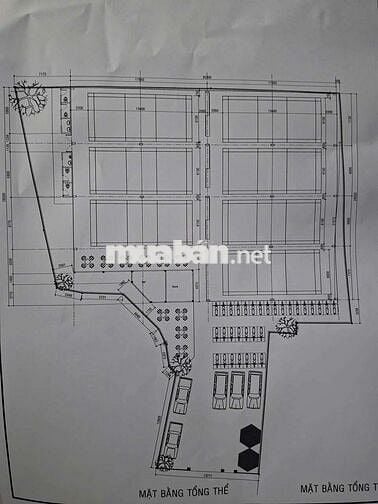 Cho thuê đất mbkd .hồng bàng Q11. Làm thể thao. Piclball.cầu lông.