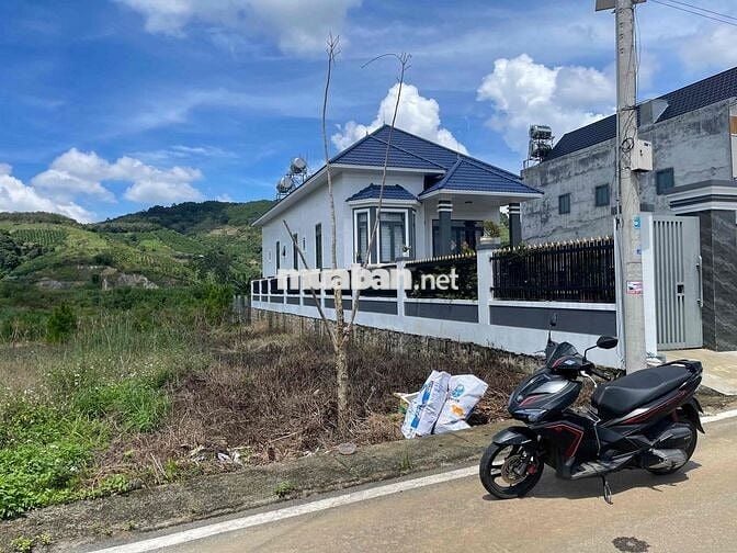 💥 177m2 đất ở SRXD ngang 5m Bồng Lai, Đức Trọng cách Đà Lạt 25km