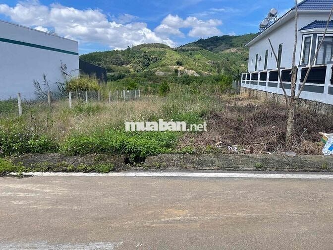 💥 177m2 đất ở SRXD ngang 5m Bồng Lai, Đức Trọng cách Đà Lạt 25km