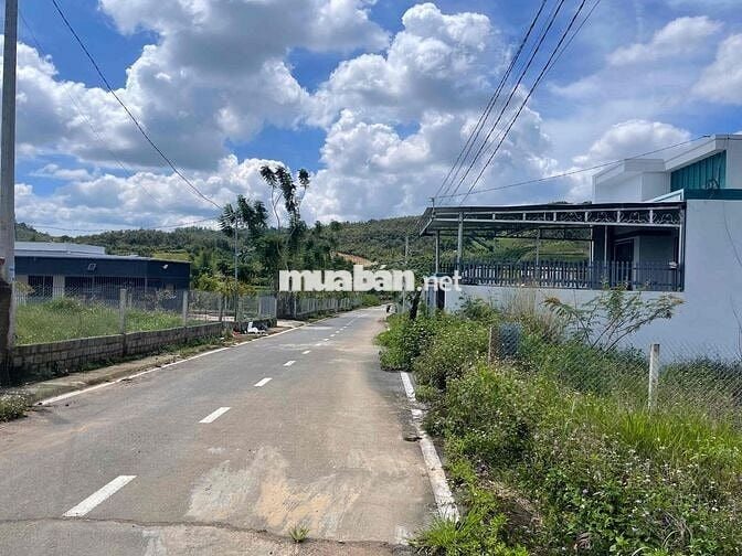 💥 177m2 đất ở SRXD ngang 5m Bồng Lai, Đức Trọng cách Đà Lạt 25km