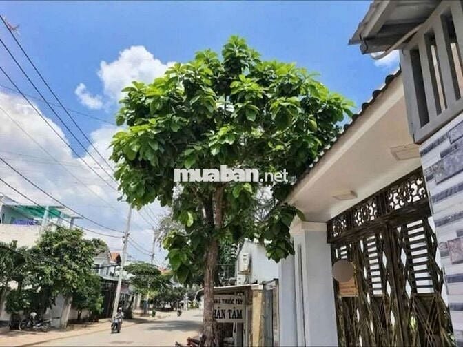 Nhà 165m2 Mặt Tiền đường Bình Phú 17triệu