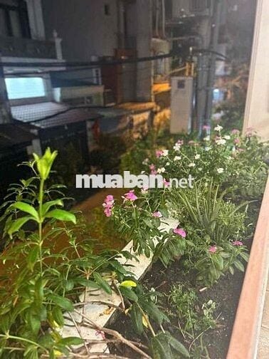 Nhà nguyên căn cho thuê Gò Vấp làm Văn Phòng và gia đình ở