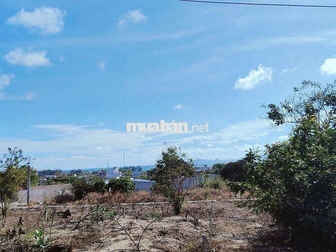 Đất  thích hợp làm nhà vườn tại long hải. View núi + biển cực chill.