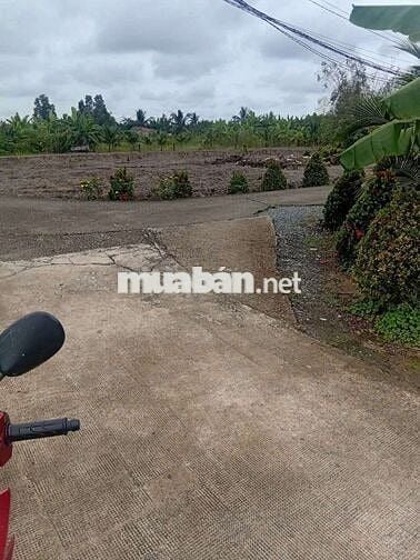 Chính chủ ! giá rẻ ! Bán 127,8m2 thổ , sổ hồng sẵn , Tân Trụ , Long An