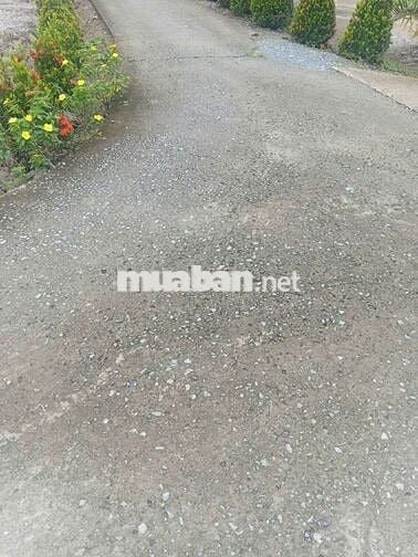 Chính chủ ! giá rẻ ! Bán 127,8m2 thổ , sổ hồng sẵn , Tân Trụ , Long An