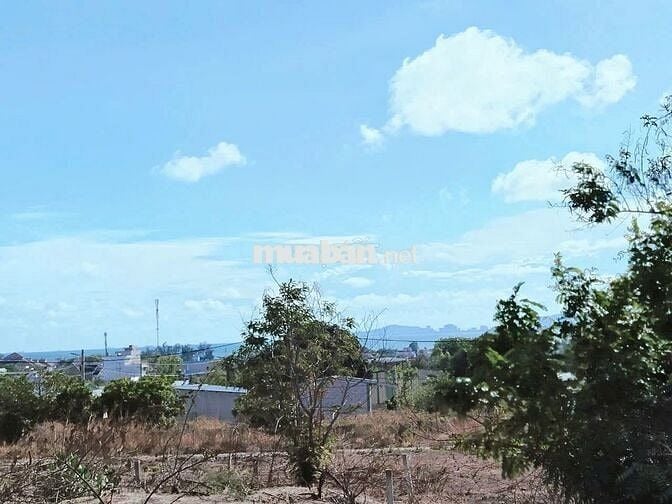 Đất  thích hợp làm nhà vườn tại long hải. View núi + biển cực chill.