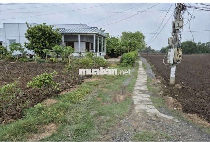 Chuyến nhượng quyền sử dụng đất