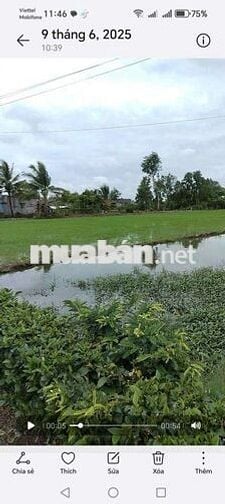 Chuyến nhượng quyền sử dụng đất