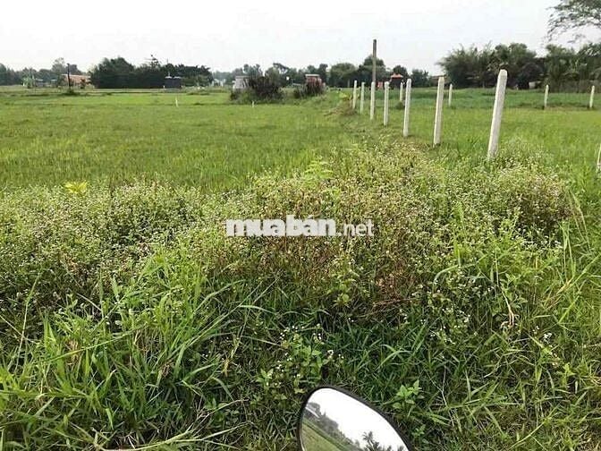 Đất thổ 165m2 Hậu Nghĩa Đức Hoà Long An