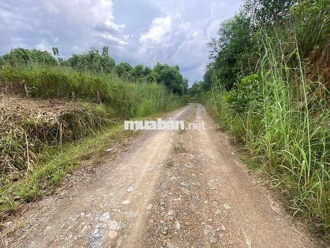 CHỈ 380T SỞ HƯU NGAY LÔ ĐẤT XÀO (1001M2) CÁCH QL 20 KHOẢNG 2KM,GIÁ RẼ.