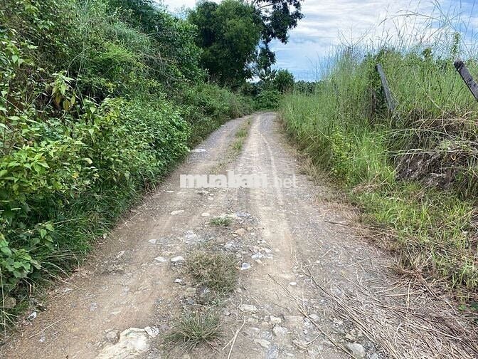 CHỈ 380T SỞ HƯU NGAY LÔ ĐẤT XÀO (1001M2) CÁCH QL 20 KHOẢNG 2KM,GIÁ RẼ.