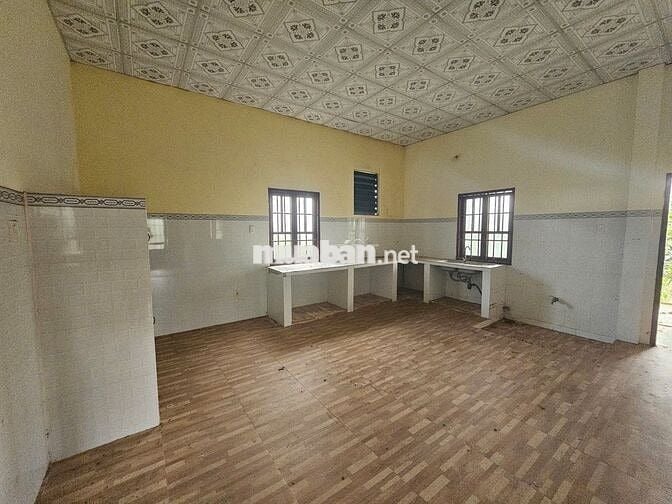 Nhà sẵn vườn Xoài 2,2 sào - sổ vuông vức - đường ô tô tránh nhau.