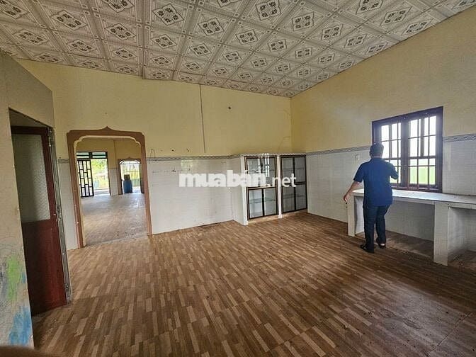Nhà sẵn vườn Xoài 2,2 sào - sổ vuông vức - đường ô tô tránh nhau.
