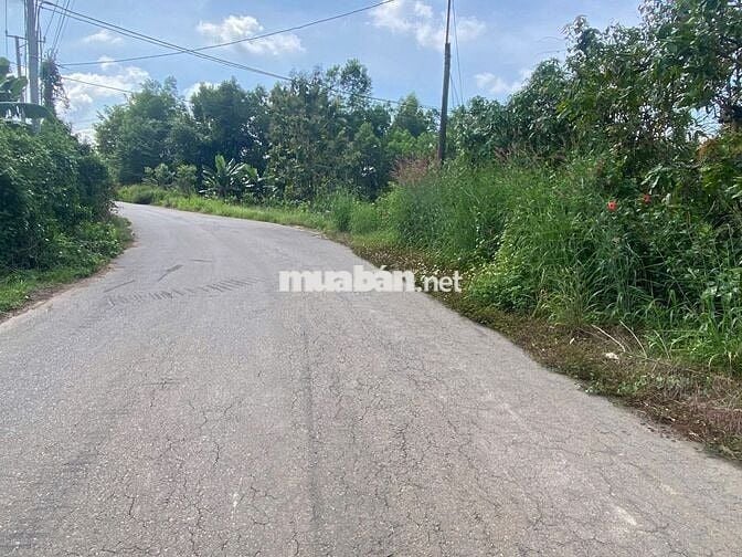 CHỈ 380 TRIỆU SỞ HỮU NGAY LÔ ĐẤT Ở TẠI NÔNG THÔN,MẶT TIỀN NHỰA,GIÁ RẼ