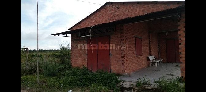 GĐ bán đất CAO SU 4.3ha (2tỷ4/ha TL) gần KCN Chà Là, rào B40 bao quanh