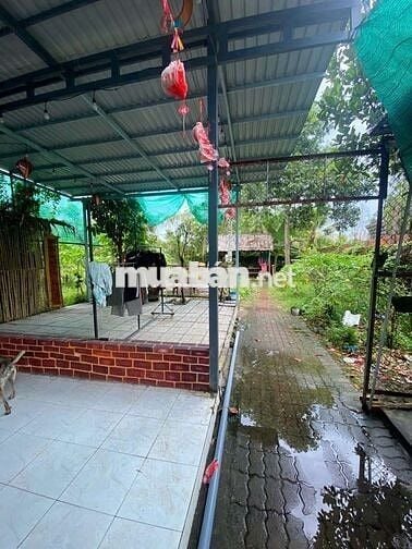 CHO THUÊ NHÀ SÂN VƯỜN NGUYỄN THỊ TẠO 1350mv 10 tr.