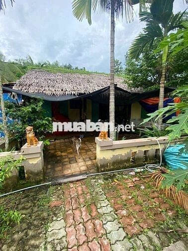 CHO THUÊ NHÀ SÂN VƯỜN NGUYỄN THỊ TẠO 1350mv 10 tr.