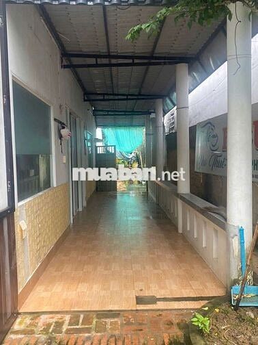 CHO THUÊ NHÀ SÂN VƯỜN NGUYỄN THỊ TẠO 1350mv 10 tr.
