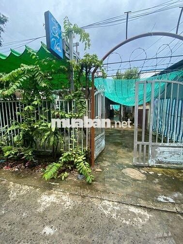 CHO THUÊ NHÀ SÂN VƯỜN NGUYỄN THỊ TẠO 1350mv 10 tr.