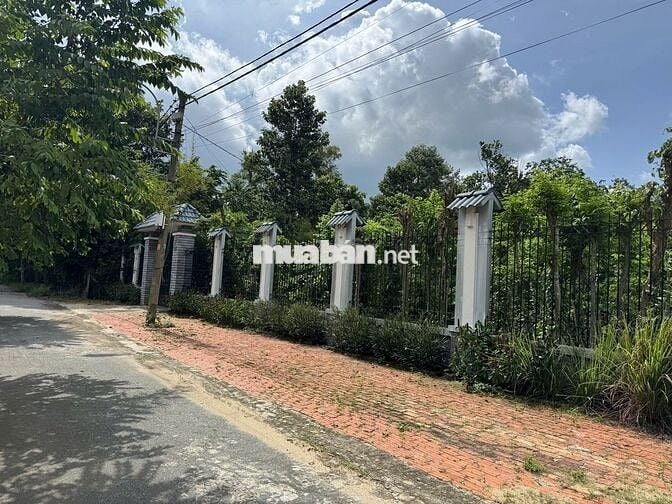 Bán đất Đường Võ Văn Điều, Phước Thạnh, Củ Chi 150m2 1.4 tỷ