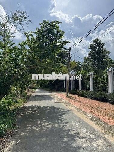 Bán đất Đường Võ Văn Điều, Phước Thạnh, Củ Chi 150m2 1.4 tỷ