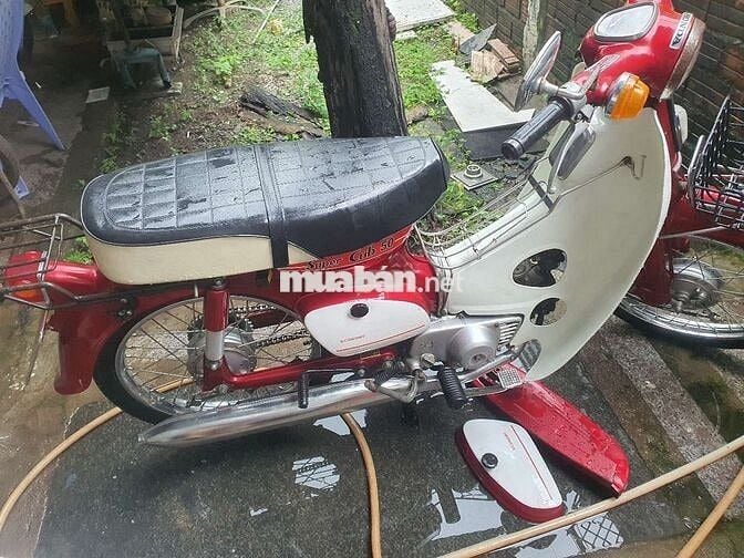 Cup én có đề 50cc