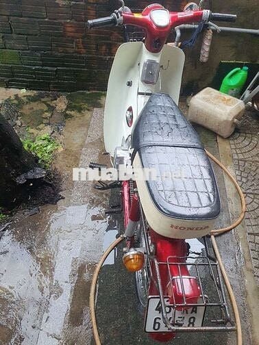 Cup én có đề 50cc