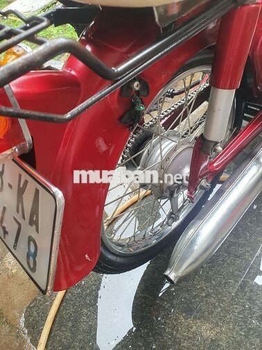 Cup én có đề 50cc