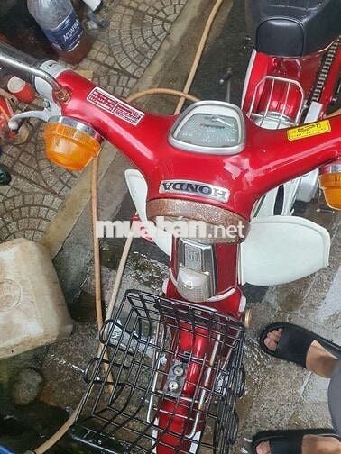 Cup én có đề 50cc