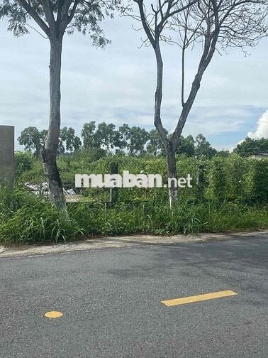 BÁN ĐẤT MẶT TIỀN ĐƯỜNG DUYÊN HẢI VỊ TRÍ NGAY CẠNH VIN CẦN GIỜ