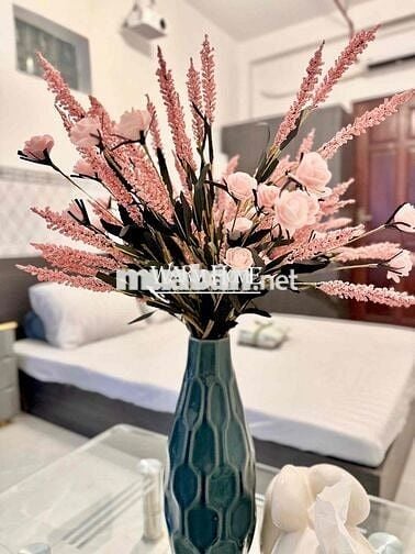 Căn hộ full nội thất 1PN tách bếp rộng 35m2 có trang bị máy chiếu