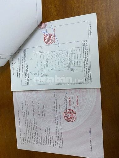 Cần bán gấp nhà đường 8m phường 15 Tân Bình dt sd 235m dt đất 79m