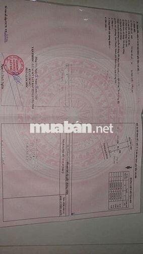 BÁN ĐẤT Nền Sổ riêng thổ cư 100 %