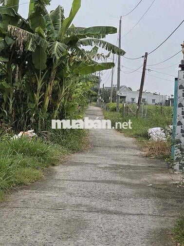 bán đất nền huyện gò công đông
