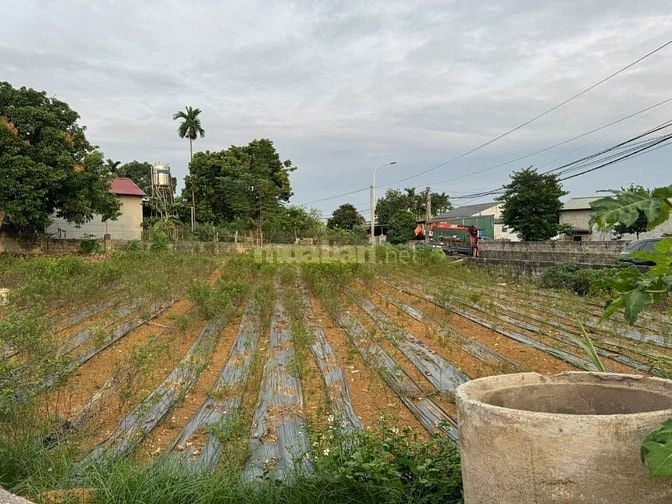 Bán lô góc 596m² – hai mặt đường lớn – trung tâm xã Suối Hai, Ba Vì, H