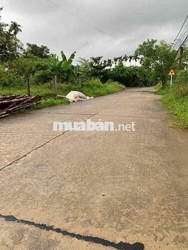 Bán đất Điện Thắng Bắc gần quốc lộ 1A