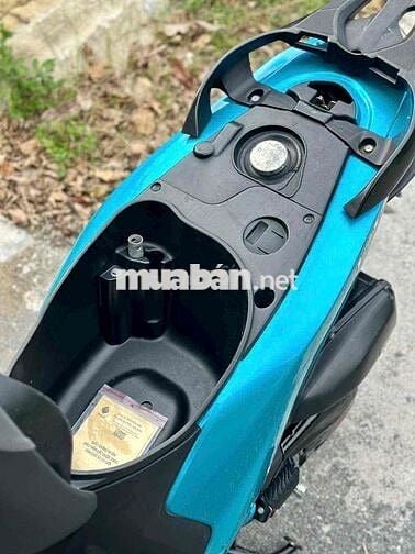 bán vision kiểng chính chủ