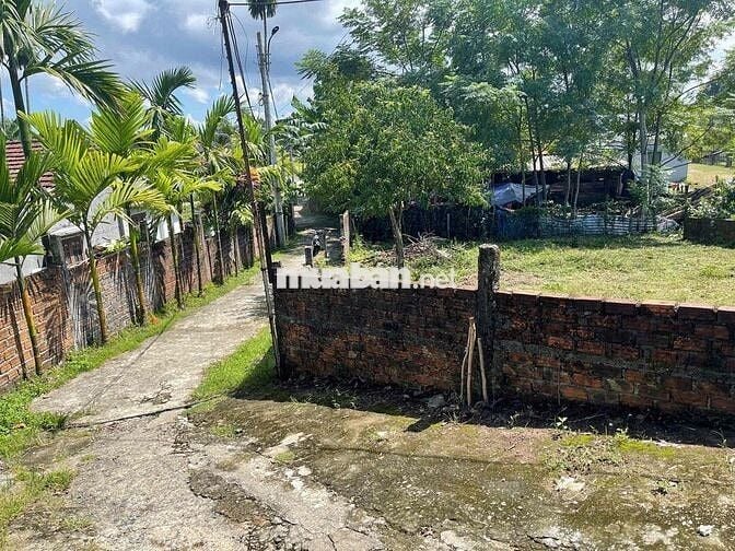 🏡 CHÍNH CHỦ CẦN BÁN NHANH LÔ ĐẤT 2 MẶT KIỆT – THÔN GÒ HÀ, HÒA TIẾN – Đ