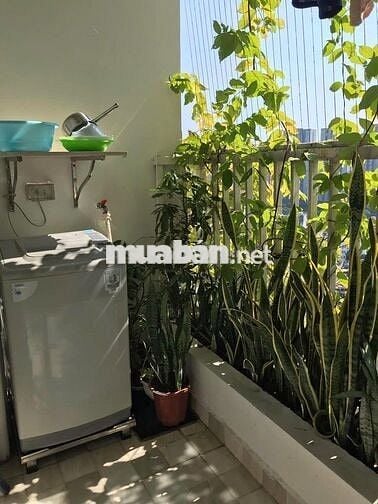 Hot - Ecolife, Tố Hữu 1PN full nội thất,view thoáng 50m2 giá 10,5tr/th