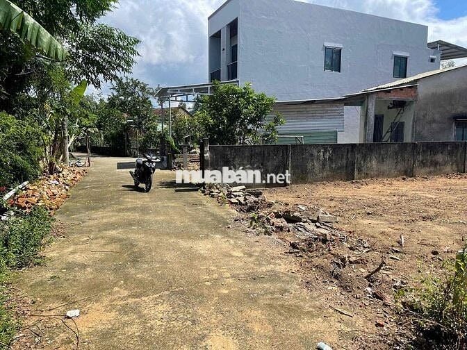 🏡🌿 CHÍNH CHỦ CẦN BÁN LÔ ĐẤT ĐẸP – GẦN TRỤC ĐƯỜNG NAM KỲ KHỞI NGHĨA, TH