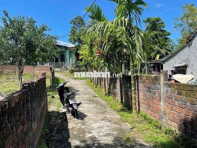 🏡 CHÍNH CHỦ CẦN BÁN NHANH LÔ ĐẤT 2 MẶT KIỆT – THÔN GÒ HÀ, HÒA TIẾN – Đ