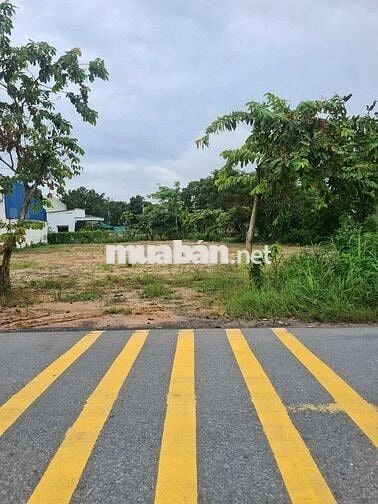 Bán Đất Mặt tiền đường 28 xã tân thông hội .giá 1ty830/97m2 SHR XDTD