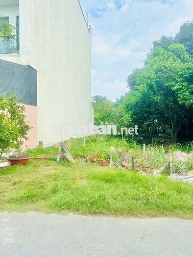 Thổ cư Đ.Nguyễn Văn Khạ, KCN Tây Bắc Củ Chi, 80m2, 800 triệu, SHR.