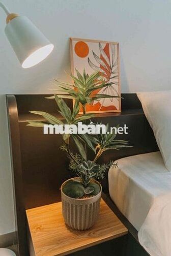 CHO THUÊ CĂN HỘ FULL NỘI THẤT TÁCH BẾP-THOÁNG GIÁ RẺ GẦN CHỢ BẾN THÀNH