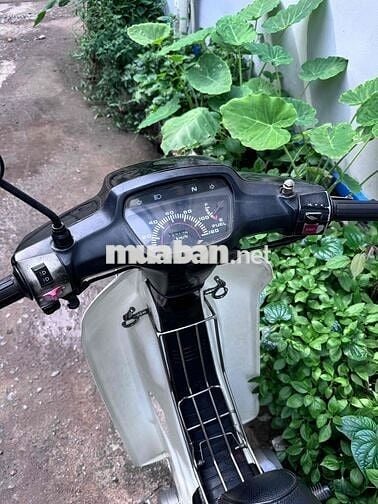 Dream lùn nguyên zin bs66 …