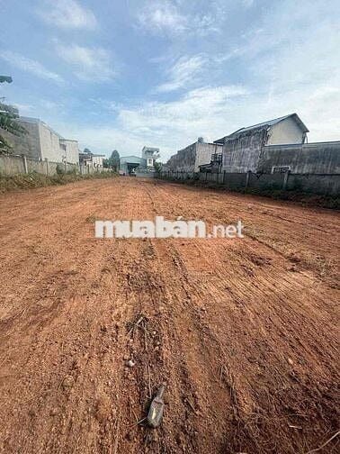 Lô đất 600m2 Thổ cư, gần 500m2 đất trồng cây LN, Tp Tân Uyên, TPHCM.