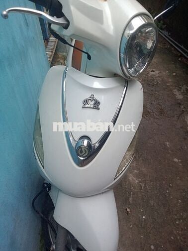 Xe Attila Elizabeth Fi