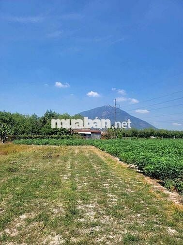 4435m2 đường nhựa, view Núi. Dân đông. 2,8 tỷ